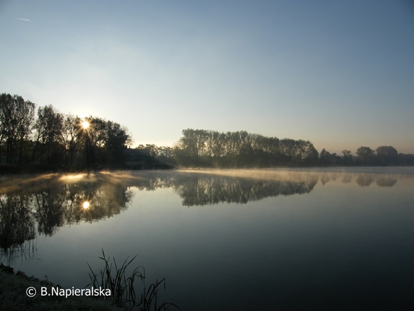 Miedzychód